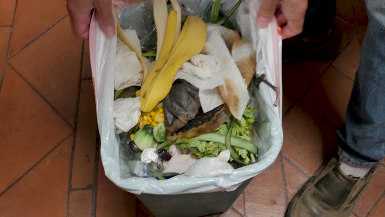  Linden, TN Junk Removal Services Pros